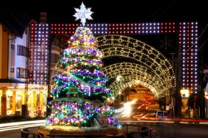 <b>🍫 GRAMADO 1 DIA </b>🎅- NATAL LUZ - 15/12 🎄<b> **LOTADO** </b> - Imagem 3