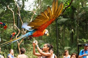FOZ DO IGUAÇU - Feriadão 20.09 **R$ 790, à vista** - Imagem 3