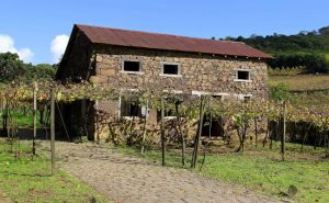 <b>🚂 SERRA GAÚCHA 🍷 </b> 20 e 21/04  🍇<b>**PROMO 299,00 A VISTA**</b> - Imagem 4