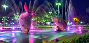 <b>🐢🐍 BONITO/MS 🦋🚣</b> - 04 a 09/02<b> **R$ 1350, à vista** </b> - Imagem 6