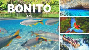 <b>🐢🐍 BONITO/MS 🦋🚣</b> - 04 a 09/02<b> **R$ 1350, à vista** </b> - Imagem 2