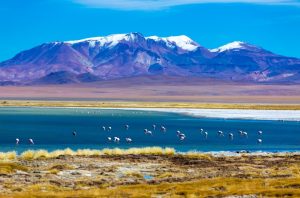 CIRCUITO INCA: ARGENTINA/CHILE/BOLIVIA/PERU - JAN/24 - Imagem 5
