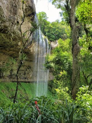 SALTO VENTOSO + BENTO GONÇALVES 23/04 ** 199,00 A VISTA** Incluso Ingressos! - Imagem 4