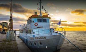 ZOOLÓGICO + ESTÁDIOS + BARCO - 12/10 ** R$ 269,00 à vista** - Imagem 4