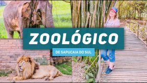 ZOOLÓGICO + ESTÁDIOS + BARCO - 12/10 ** R$ 269,00 à vista**