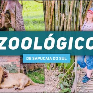 ZOOLÓGICO + ESTÁDIOS + BARCO - 12/10 ** R$ 269,00 à vista**